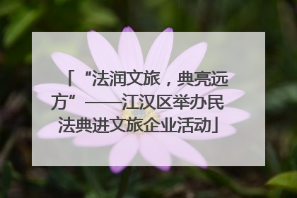 “法润文旅，典亮远方”——江汉区举办民法典进文旅企业活动