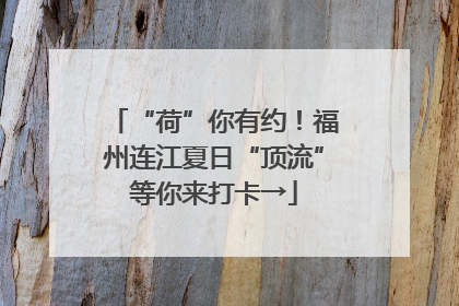“荷”你有约！福州连江夏日“顶流”等你来打卡→