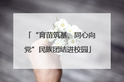 “育苗筑基、同心向党”民族团结进校园