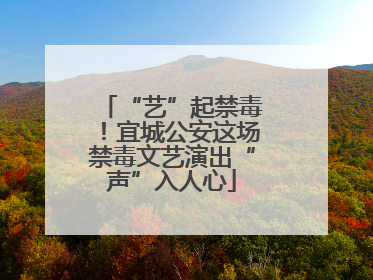 “艺”起禁毒！宜城公安这场禁毒文艺演出“声”入人心