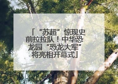 “苏超”惊现史前拉拉队！中华恐龙园“恐龙大军”将亮相开幕式