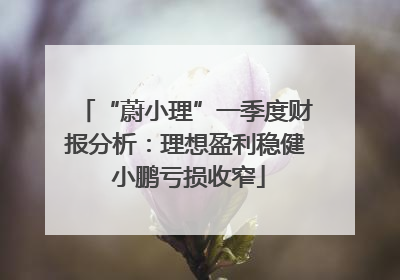 “蔚小理”一季度财报分析：理想盈利稳健 小鹏亏损收窄