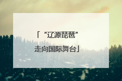 “辽源琵琶” 走向国际舞台