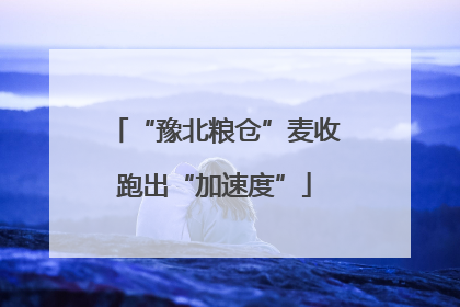 “豫北粮仓”麦收跑出“加速度”