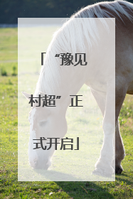 “豫见村超”正式开启