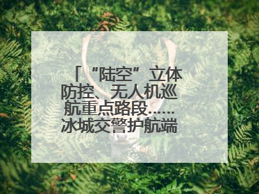“陆空”立体防控、无人机巡航重点路段……冰城交警护航端午假期出行