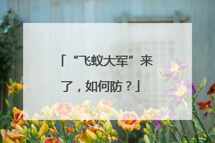 “飞蚁大军”来了，如何防？