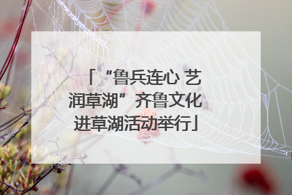 “鲁兵连心 艺润草湖”齐鲁文化进草湖活动举行