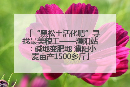 “黑松土活化肥”寻找最美粮王——濮阳站：碱地变肥地 濮阳小麦亩产1500多斤