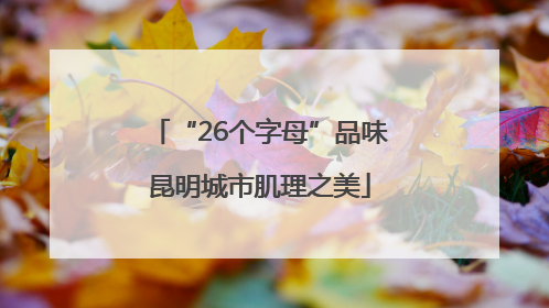“26个字母”品味昆明城市肌理之美
