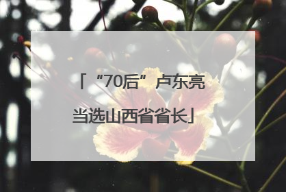 “70后”卢东亮当选山西省省长