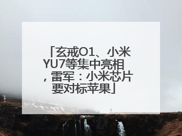 玄戒O1、小米YU7等集中亮相，雷军：小米芯片要对标苹果