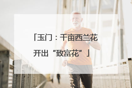 玉门：千亩西兰花开出“致富花”