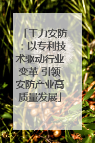 王力安防：以专利技术驱动行业变革 引领安防产业高质量发展