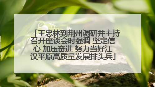 王忠林到荆州调研并主持召开座谈会时强调 坚定信心 加压奋进 努力当好江汉平原高质量发展排头兵