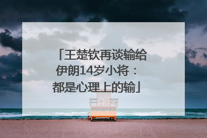 王楚钦再谈输给伊朗14岁小将：都是心理上的输