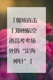 现场直击丨郑州航空港高考考场外的“定海神针”