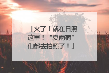 火了！就在日照这里！“夏雨荷”们都去拍照了！