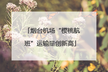 烟台机场“樱桃航班”运输量创新高