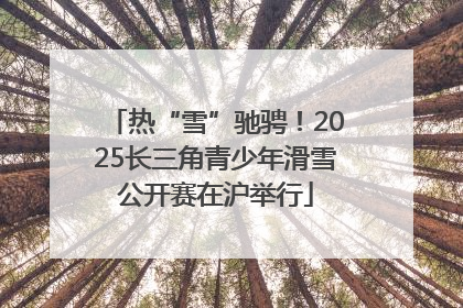 热“雪”驰骋！2025长三角青少年滑雪公开赛在沪举行