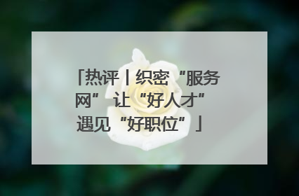 热评丨织密“服务网” 让“好人才”遇见“好职位”