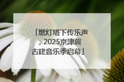 燃灯塔下传乐声，2025京津冀古建音乐季启幕