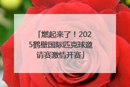 燃起来了！2025鹤壁国际匹克球邀请赛激情开赛