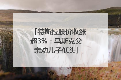 特斯拉股价收涨超3%：马斯克父亲劝儿子低头