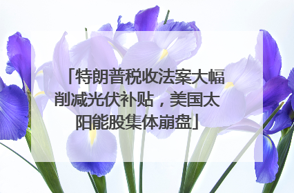 特朗普税收法案大幅削减光伏补贴，美国太阳能股集体崩盘