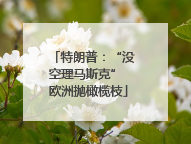 特朗普：“没空理马斯克” 欧洲抛橄榄枝