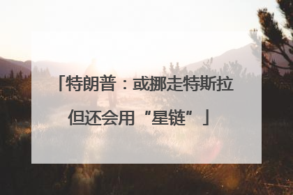 特朗普：或挪走特斯拉 但还会用“星链”