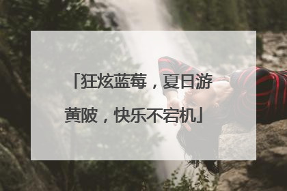 狂炫蓝莓，夏日游黄陂，快乐不宕机
