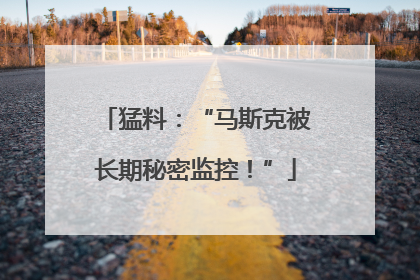 猛料：“马斯克被长期秘密监控！”