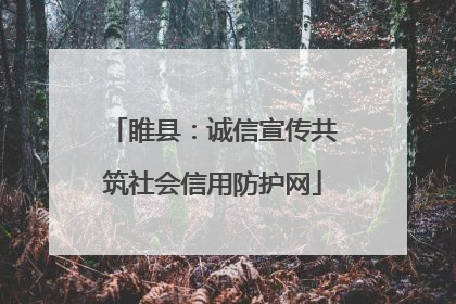 睢县：诚信宣传共筑社会信用防护网