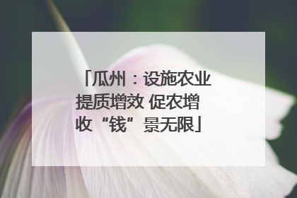 瓜州：设施农业提质增效 促农增收“钱”景无限