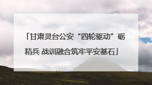 甘肃灵台公安“四轮驱动”砺精兵 战训融合筑牢平安基石