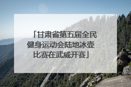 甘肃省第五届全民健身运动会陆地冰壶比赛在武威开赛