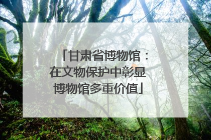 甘肃省博物馆：在文物保护中彰显博物馆多重价值