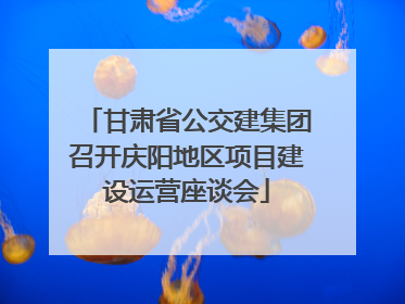 甘肃省公交建集团召开庆阳地区项目建设运营座谈会