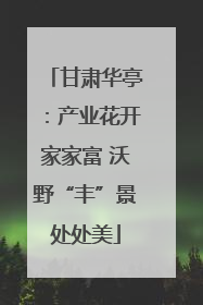 甘肃华亭：产业花开家家富 沃野“丰”景处处美