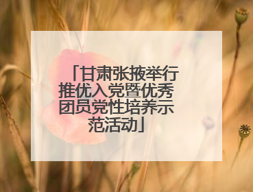 甘肃张掖举行推优入党暨优秀团员党性培养示范活动