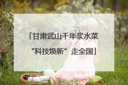 甘肃武山千年浆水菜“科技焕新”走全国