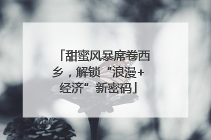甜蜜风暴席卷西乡，解锁“浪漫+经济”新密码