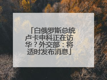 白俄罗斯总统卢卡申科正在访华？外交部：将适时发布消息