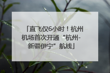 直飞仅6小时！杭州机场首次开通“杭州-新疆伊宁”航线