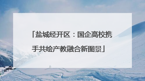 盐城经开区：国企高校携手共绘产教融合新图景