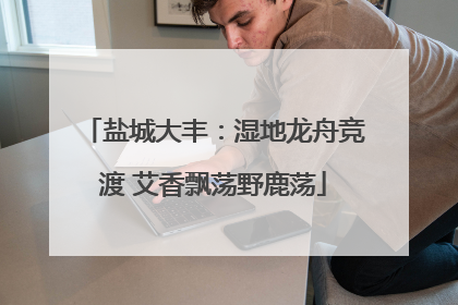 盐城大丰：湿地龙舟竞渡 艾香飘荡野鹿荡