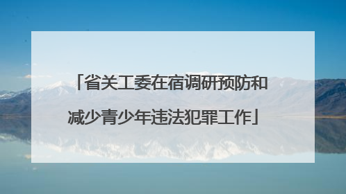 省关工委在宿调研预防和减少青少年违法犯罪工作