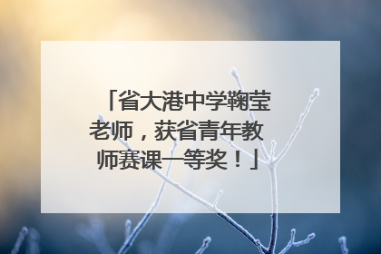 省大港中学鞠莹老师，获省青年教师赛课一等奖！