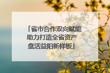 省市合作双向赋能 助力打造全省资产盘活益阳新样板